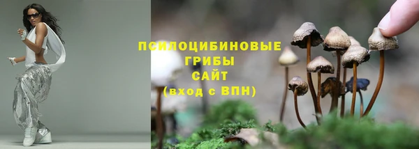 амф Переславль-Залесский