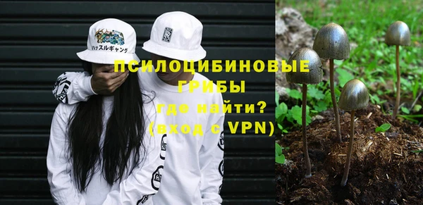 мяу мяу мука Пересвет